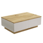 Τραπέζι σαλονιού Thunder sonoma-λευκό 90x60x31.5εκ - Image 3