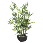 Φυτό σε γλάστρα Green 43x34x67εκ