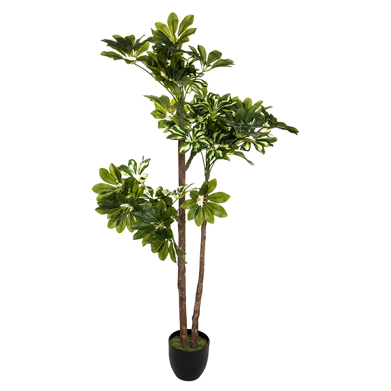 product_pako_199-000249 Φυτό σε γλάστρα Green6 70x65x135εκ - Image 1