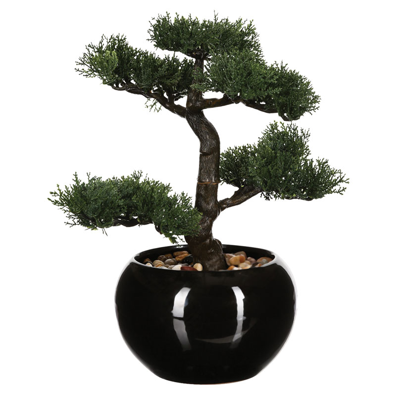 product_pako_199-000469 Φυτό σε γλάστρα Green18 35x32x34εκ - Image 1