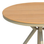 Τραπέζι Hilly plywood και αλουμίνιο σε σαμπανιζέ απόχρωση Φ100x75εκ - Image 2