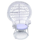 Πολυθρόνα Dorothy Inart με λευκό μαξιλάρι-λευκό rattan 115x53x147εκ