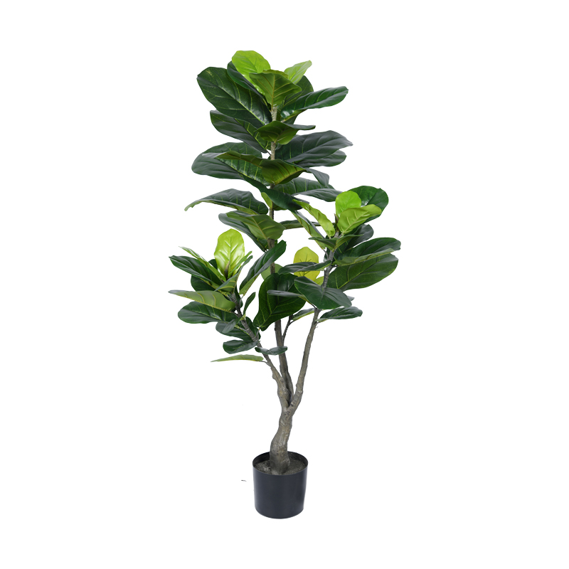 product_pako_316-000001 Διακοσμητικό φυτό Fiddlehead σε γλάστρα Inart πράσινο pp Υ120εκ - Image 1