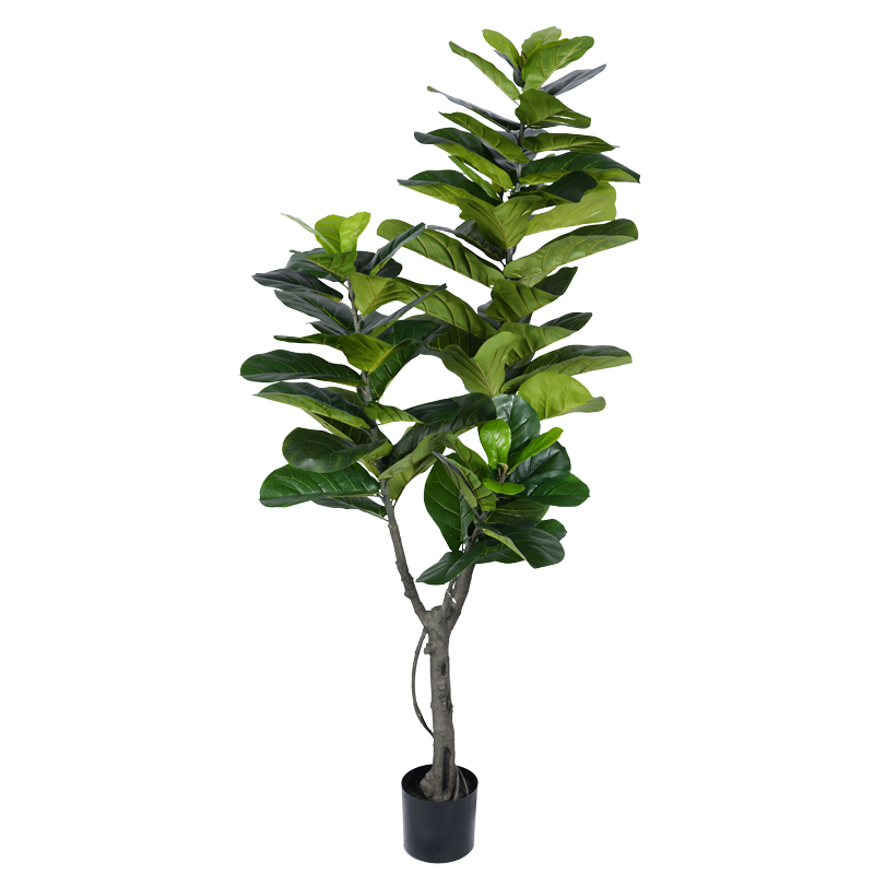 product_pako_316-000002 Διακοσμητικό φυτό Fiddlehead I σε γλάστρα Inart πράσινο pp Υ180εκ - Image 1
