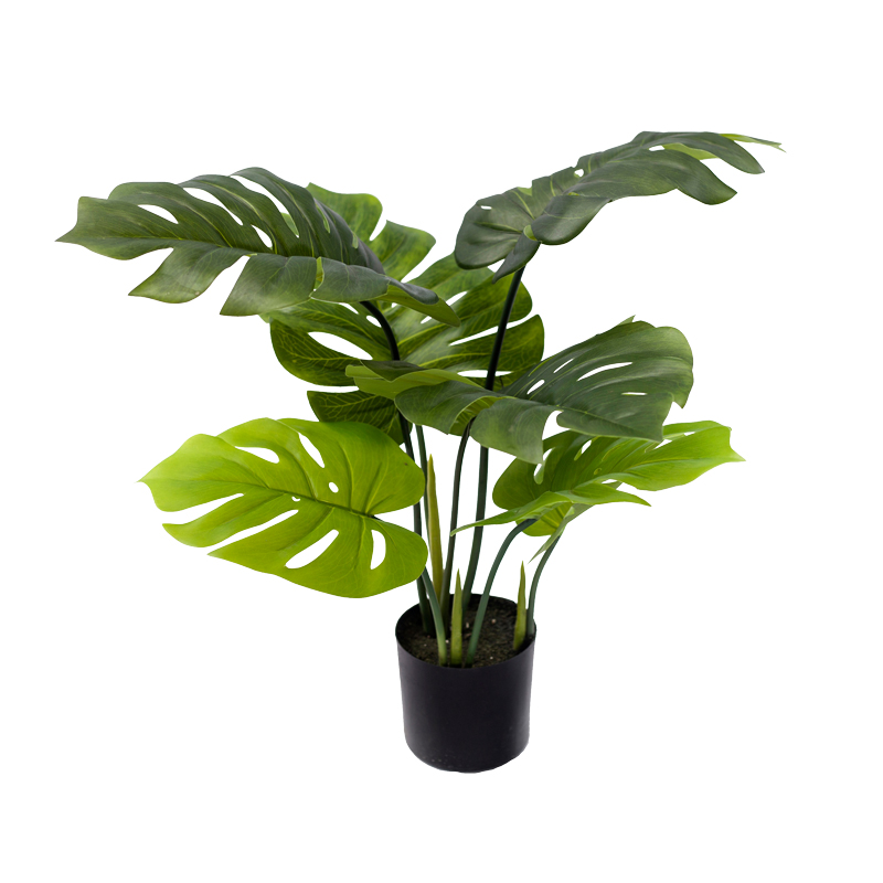 product_pako_316-000003 Διακοσμητικό φυτό Monstera σε γλάστρα Inart πράσινο pp Υ70εκ - Image 1