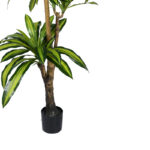 Διακοσμητικό φυτό Dracaena I σε γλάστρα Inart πράσινο pp Υ170εκ - Image 3