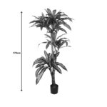 Διακοσμητικό φυτό Dracaena I σε γλάστρα Inart πράσινο pp Υ170εκ - Image 4