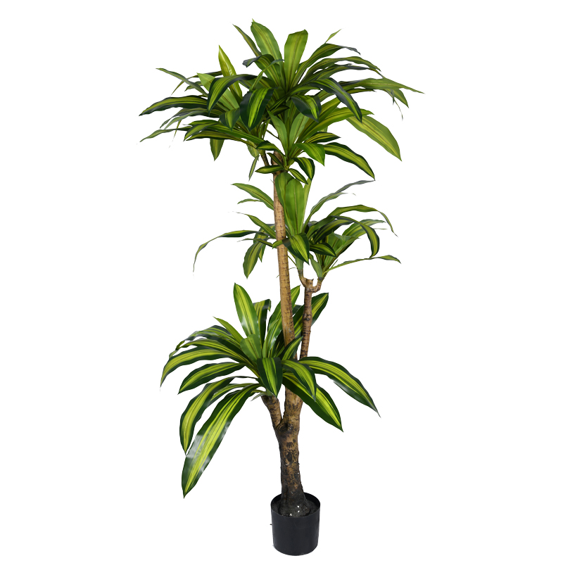 product_pako_316-000009 Διακοσμητικό φυτό Dracaena I σε γλάστρα Inart πράσινο pp Υ170εκ - Image 1