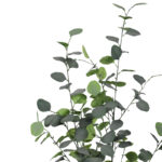 Διακοσμητικό φυτό Eucalyptus σε γλάστρα Inart πράσινο pp Υ120εκ - Image 2