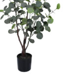 Διακοσμητικό φυτό Eucalyptus σε γλάστρα Inart πράσινο pp Υ120εκ - Image 3