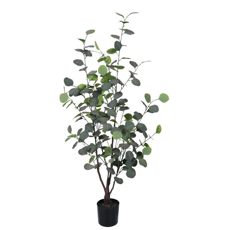 product_pako_316-000014 Διακοσμητικό φυτό Eucalyptus σε γλάστρα Inart πράσινο pp Υ120εκ - Image 1