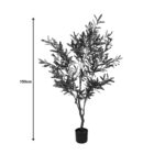 Διακοσμητικό φυτό Olive tree I σε γλάστρα Inart πράσινο pp Υ150εκ - Image 4