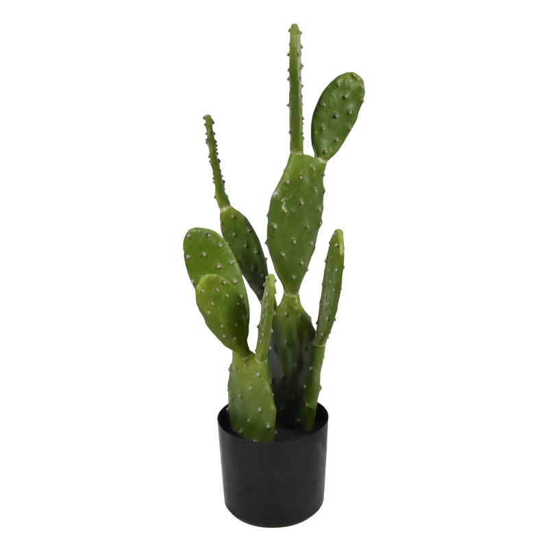 product_pako_316-000021 Διακοσμητικό φυτό Cactus σε γλάστρα Inart πράσινο pp Υ64εκ - Image 1