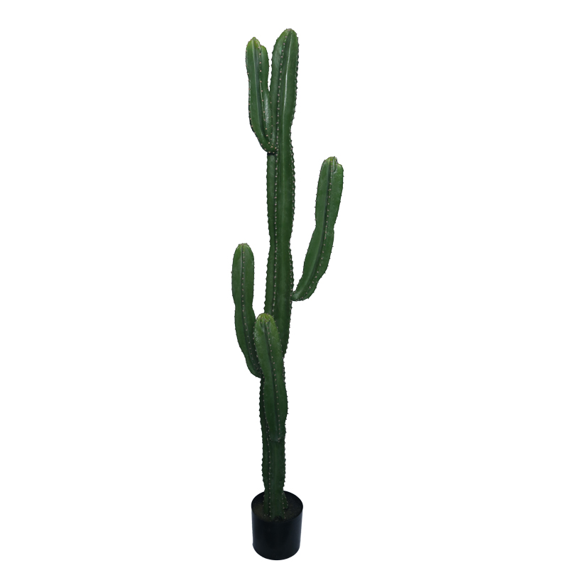 product_pako_316-000022 Διακοσμητικό φυτό Cactus I σε γλάστρα Inart πράσινο pp Υ155εκ - Image 1