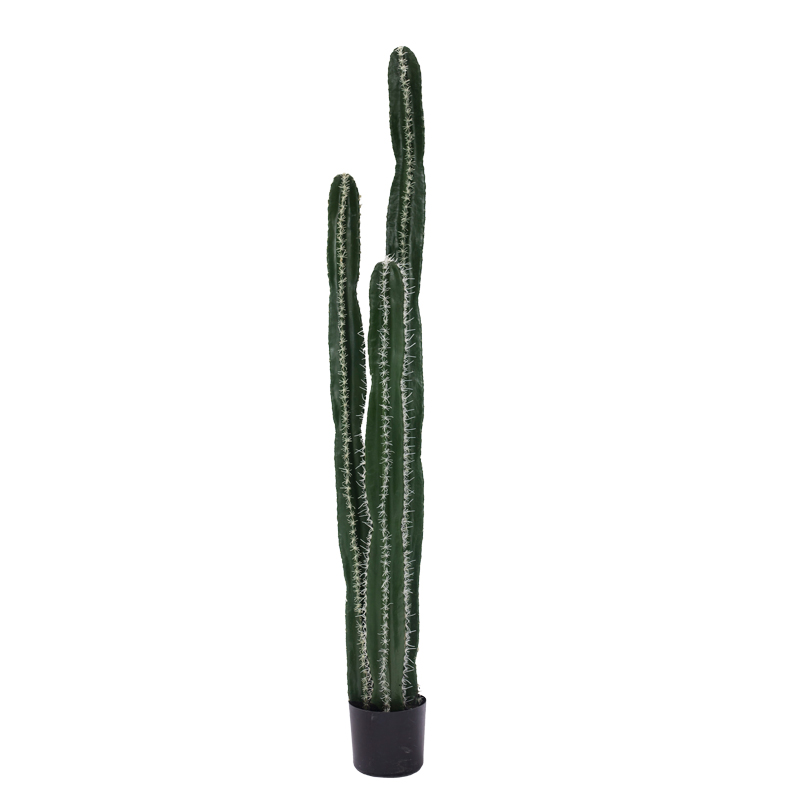 product_pako_316-000023 Διακοσμητικό φυτό Cactus II σε γλάστρα Inart πράσινο pp Υ155εκ - Image 1