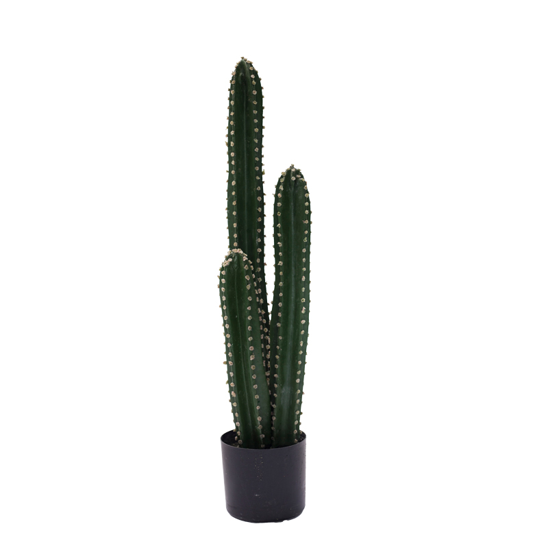 product_pako_316-000024 Διακοσμητικό φυτό Cactus III σε γλάστρα Inart πράσινο pp Υ85εκ - Image 1