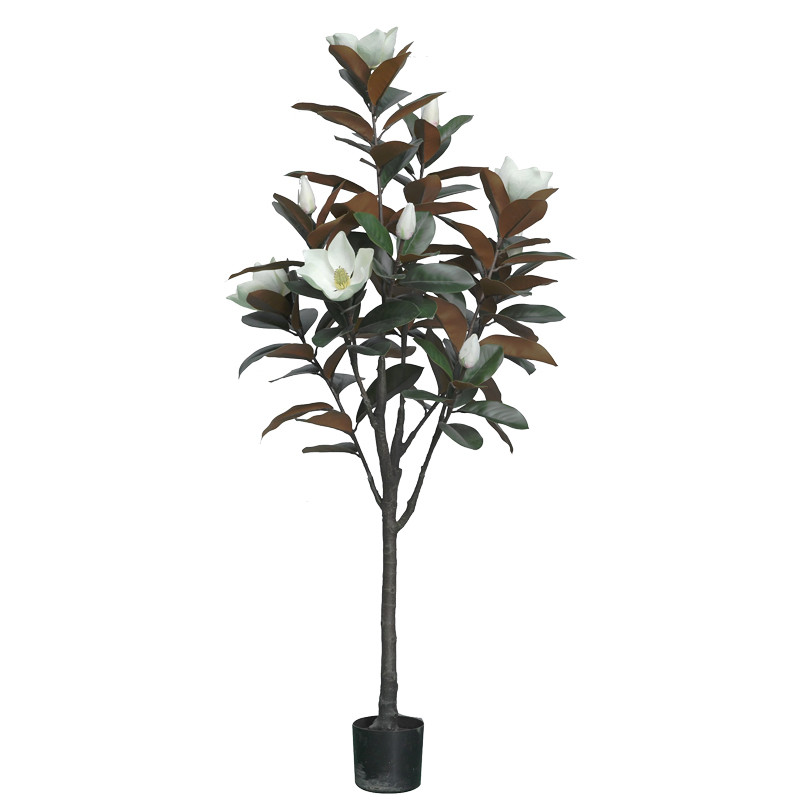 product_pako_316-000027 Διακοσμητικό φυτό Mangola I σε γλάστρα Inart λευκό pp Υ155εκ - Image 1