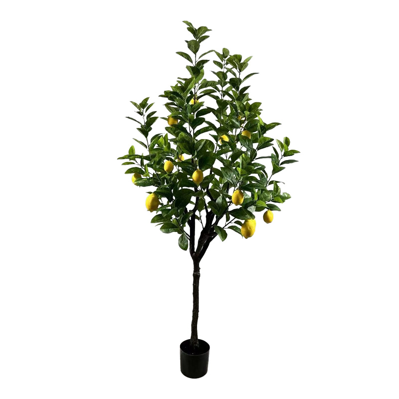 product_pako_316-000034 Διακοσμητικό φυτό Lemon tree σε γλάστρα Inart πράσινο pp Υ180εκ - Image 1