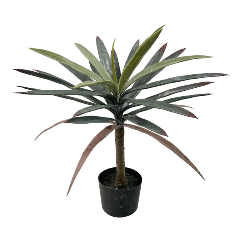 product_pako_316-000038 Διακοσμητικό φυτό Dracaena palm σε γλάστρα Inart πράσινο pp Υ62εκ - Image 1