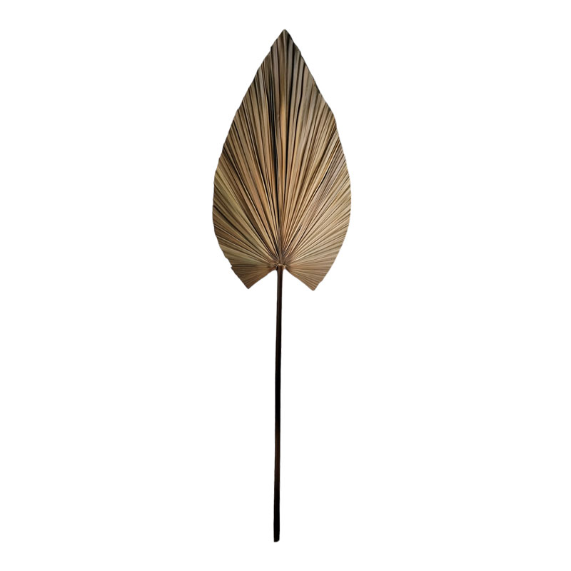 product_pako_335-000014 Διακοσμητικό φύλλο Leafen φυσικό palm leaf 134εκ - Image 1
