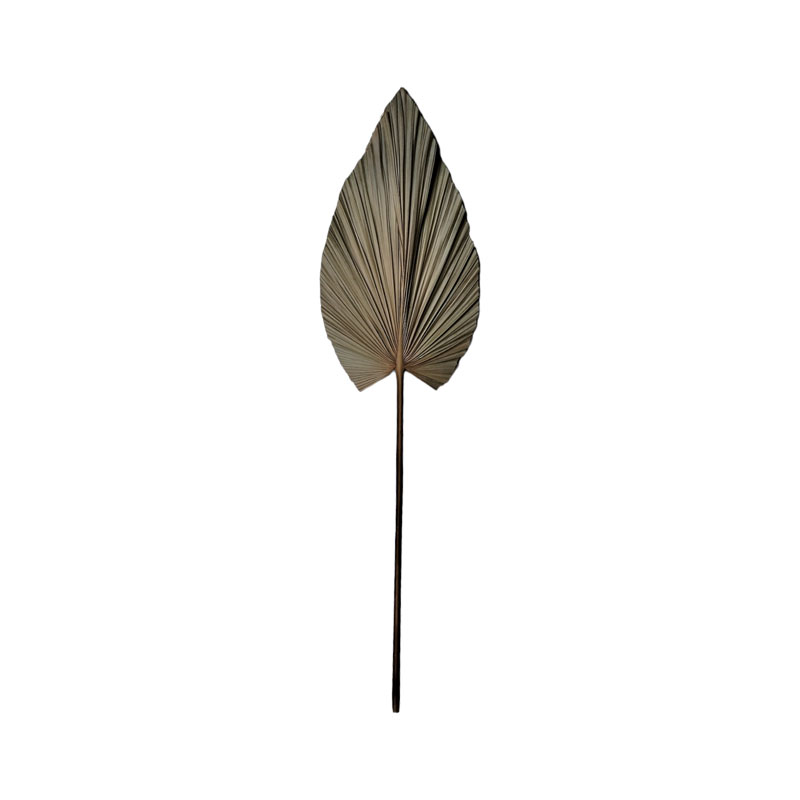 product_pako_335-000015 Διακοσμητικό φύλλο Leafen I Inart φυσικό palm leaf 121εκ - Image 1