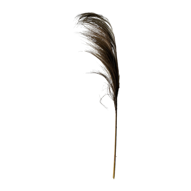 product_pako_335-000016 Διακοσμητικό φυτό Pampas Inart rayung σε φυσική απόχρωση 145εκ - Image 1