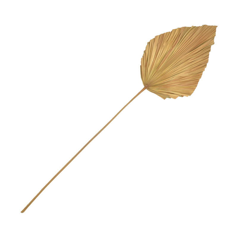 product_pako_343-000115 Διακοσμητικό φύλλο Walsy Inart palm leaf σε φυσική απόχρωση Υ135 εκ - Image 1