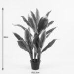 Διακοσμητικό φυτό σε γλάστρα Cycas Inart πράσινο Φ55x80εκ - Image 4