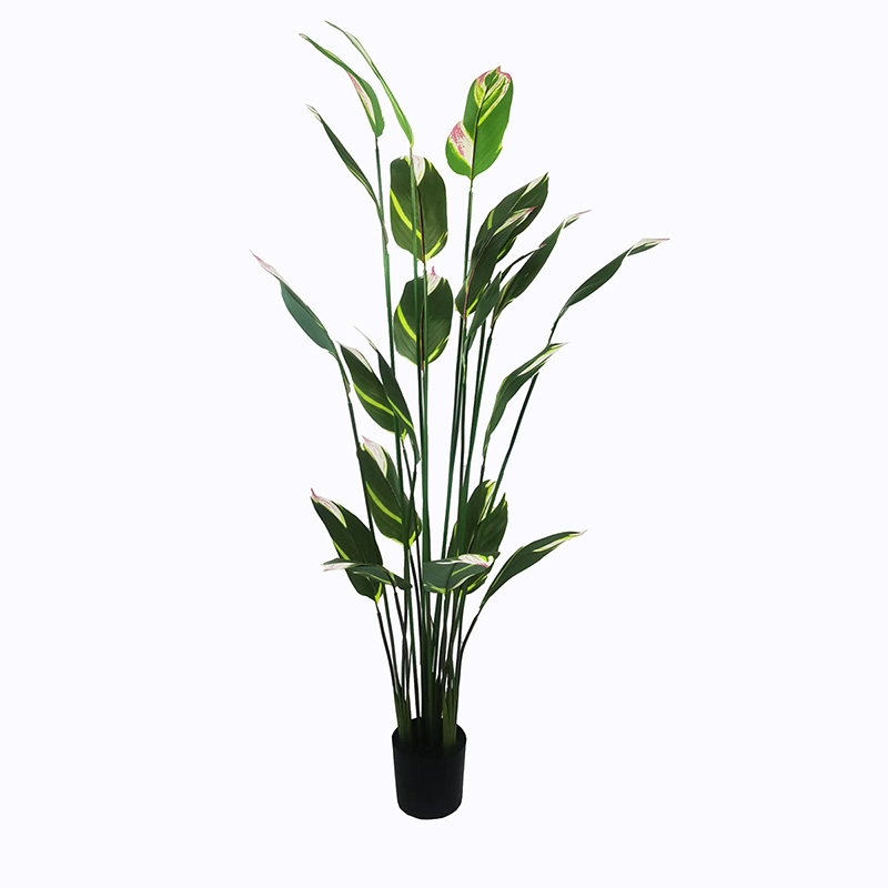 product_pako_391-000004 Διακοσμητικό φυτό σε γλάστρα Lucky I Inart πράσινο Φ80x210εκ - Image 1