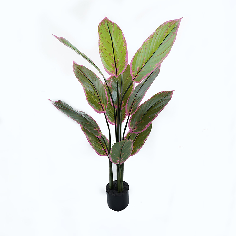 product_pako_391-000005 Διακοσμητικό φυτό σε γλάστρα Calathea Inart πράσινο Φ68x120εκ - Image 1