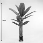 Διακοσμητικό φυτό σε γλάστρα Banana Tree Inart πράσινο Φ53x190εκ - Image 4