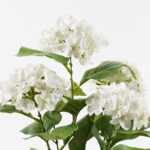 Διακοσμητικό φυτό σε γλάστρα Hydrangea Inart λευκό Φ35x50εκ - Image 2
