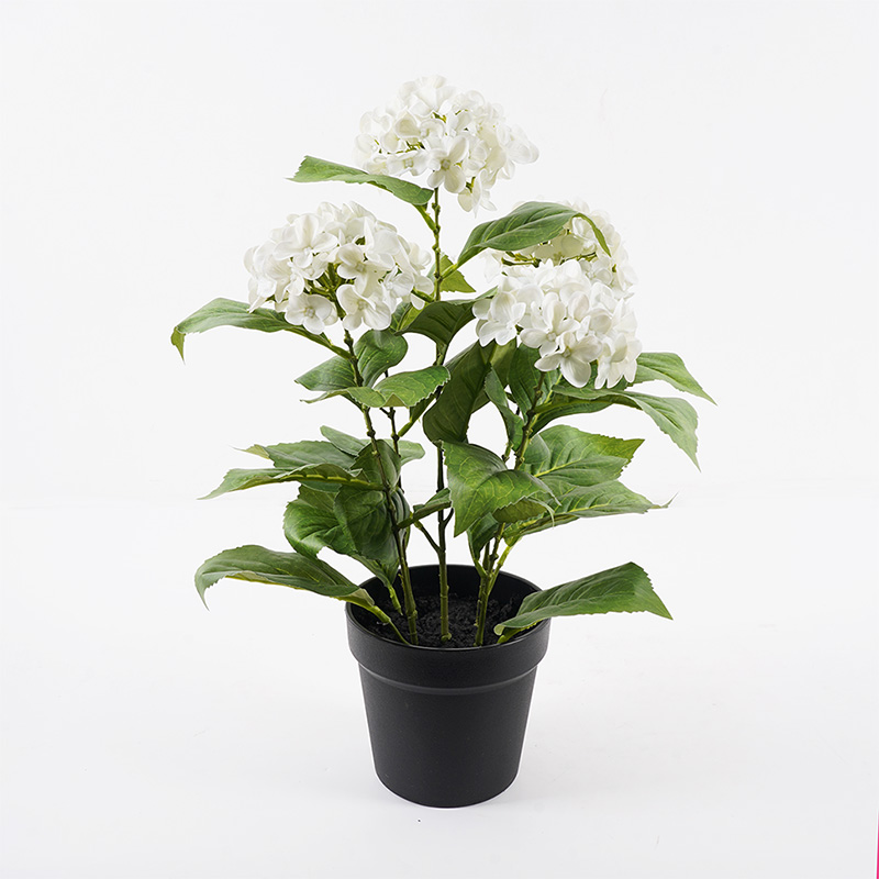 product_pako_391-000010 Διακοσμητικό φυτό σε γλάστρα Hydrangea Inart λευκό Φ35x50εκ - Image 1