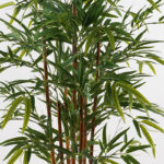 Διακοσμητικό φυτό σε γλάστρα Rhapis Palm Inart πράσινο Φ60x120εκ - Image 2