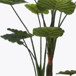 Διακοσμητικό φυτό σε γλάστρα Taro Plant Inart πράσινο Φ90x180εκ - Image 2