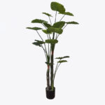 Διακοσμητικό φυτό σε γλάστρα Taro Plant Inart πράσινο Φ90x180εκ