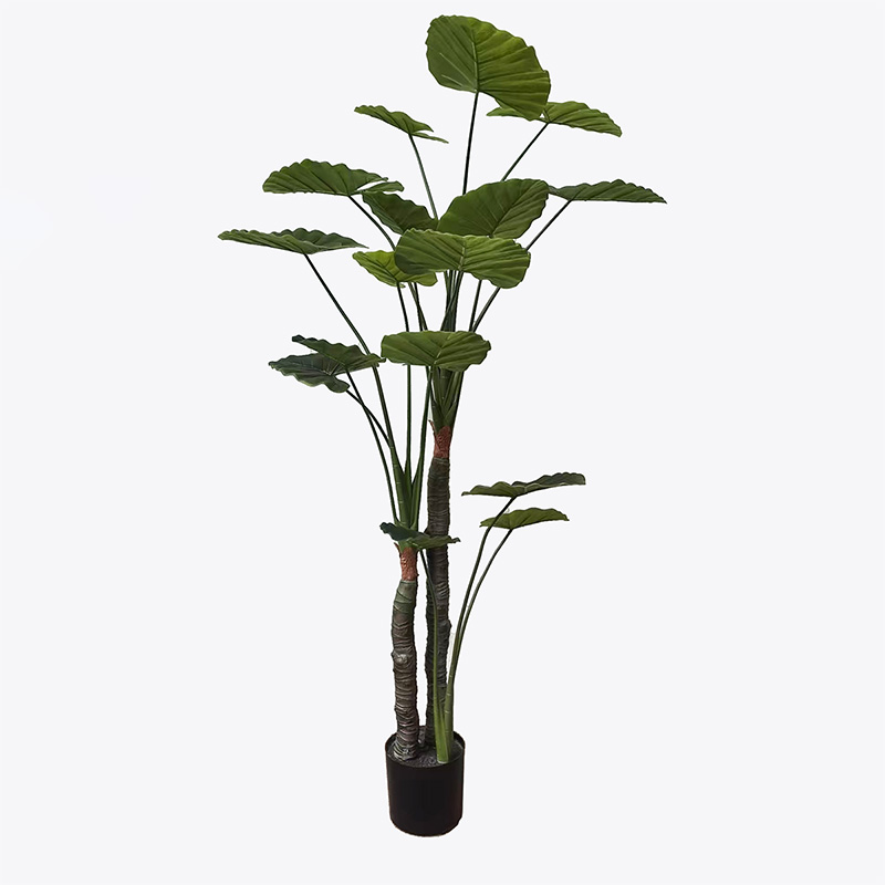 product_pako_391-000015 Διακοσμητικό φυτό σε γλάστρα Taro Plant Inart πράσινο Φ90x180εκ - Image 1