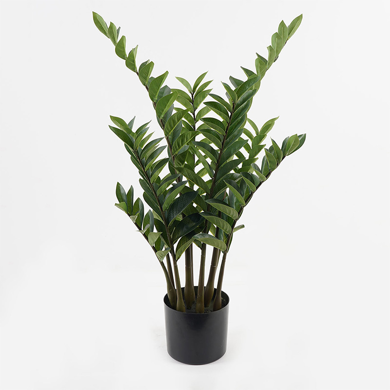 product_pako_391-000019 Διακοσμητικό φυτό σε γλάστρα Zamia Inart πράσινο Φ52x88εκ - Image 1
