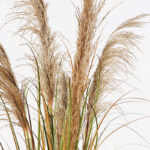 Διακοσμητικό φυτό σε γλάστρα Bulrush Inart Φ65x120εκ - Image 2