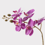 Διακοσμητικό φυτό σε γλάστρα Οrchid Beauty Inart 30x13x46εκ - Image 2