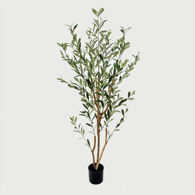 product_pako_391-000028 Διακοσμητικό φυτό σε γλάστρα Olia Inart πράσινο 65x55x180εκ - Image 1