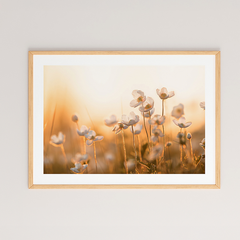 product_pako_409-000003 Πίνακας Floraza με ψηφιακή εκτύπωση και πλαίσιο 48x1.5x33εκ - Image 1
