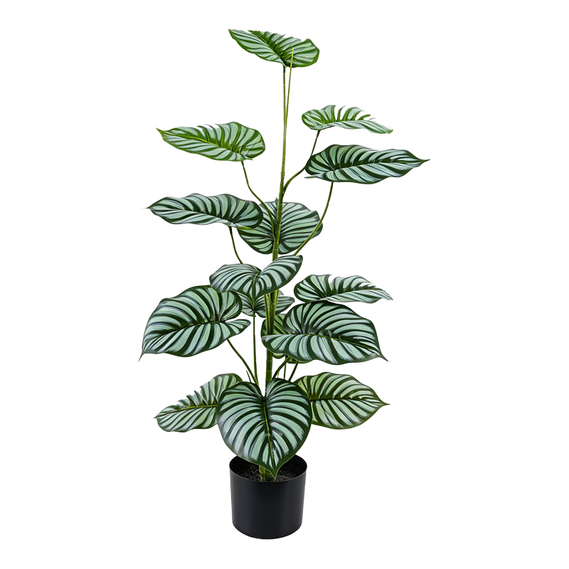 product_pako_391-000032 Διακοσμητικό φυτό σε γλάστρα Oleanthy πράσινο 45x38x100εκ - Image 1