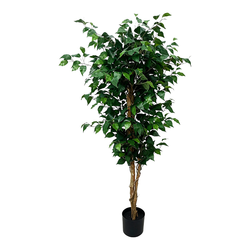 product_pako_391-000033 Διακοσμητικό φυτό σε γλάστρα Fikonel πράσινο 60x60x150εκ - Image 1