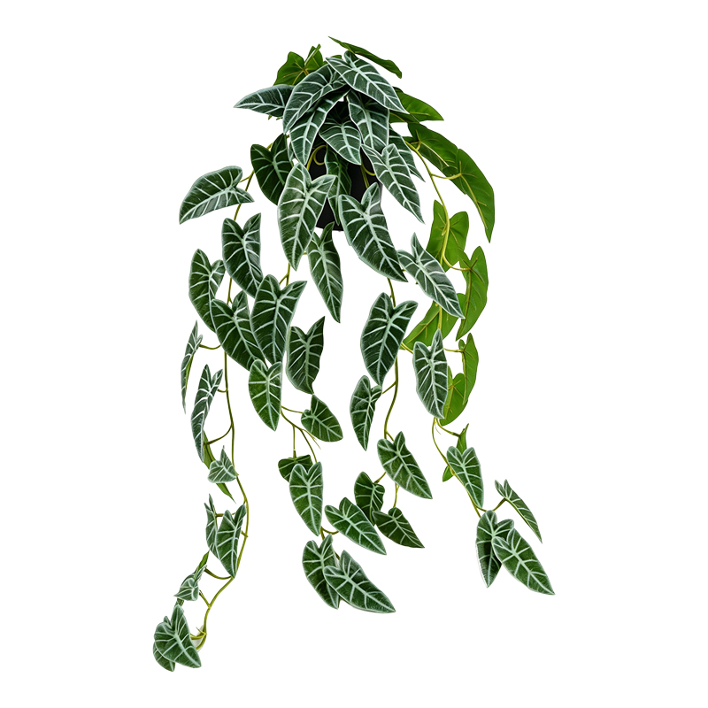 product_pako_391-000035 Διακοσμητικό κρεμαστό φυτό Ancor πράσινο 30x22x70εκ - Image 1