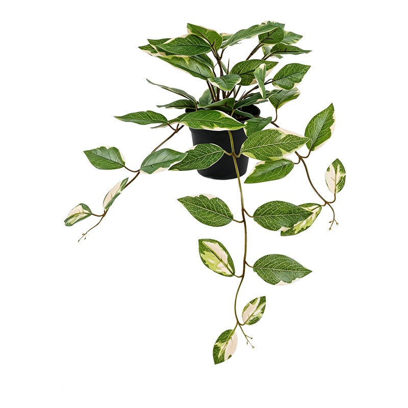 product_pako_391-000036 Διακοσμητικό κρεμαστό φυτό Hogia πράσινο 30x25x40εκ - Image 1